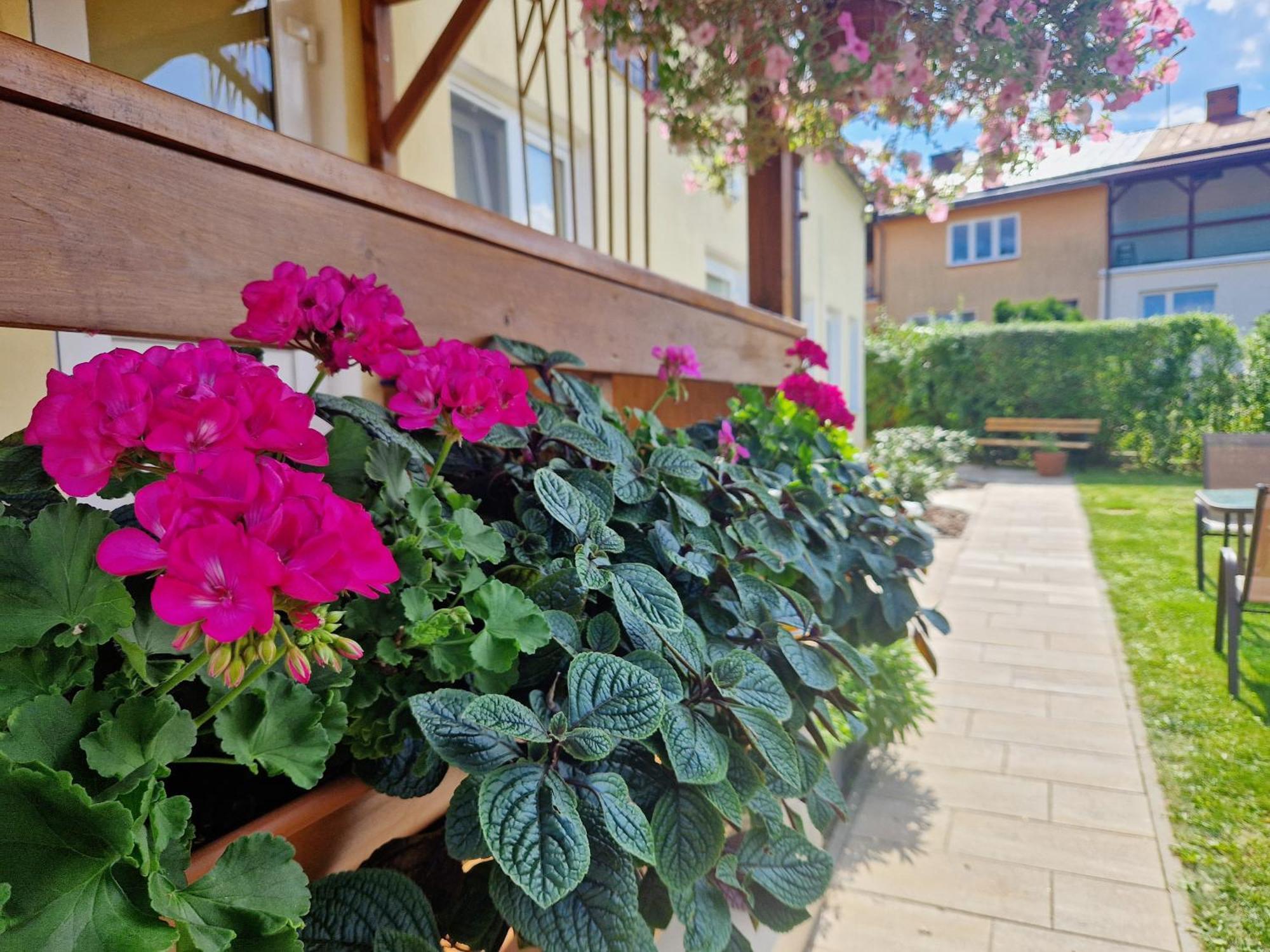Apartament Cicho Sza 아우구스투프 외부 사진
